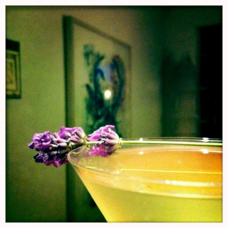 Lavender_Martini_No_6
